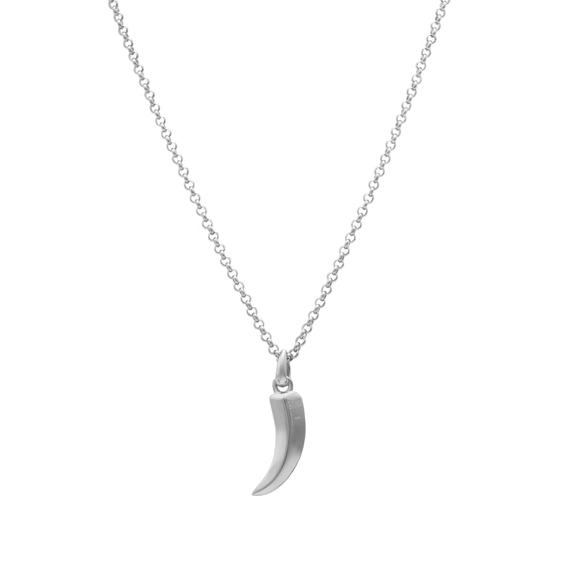 Claw Pendant (Silver)